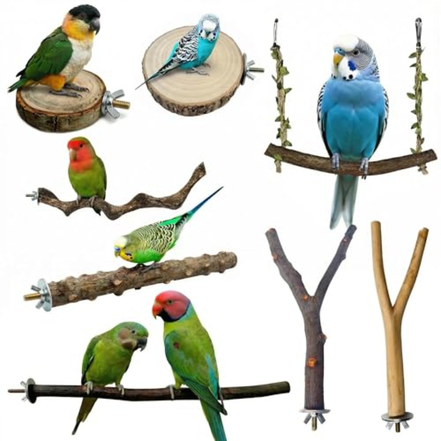 8PCS natural wood bird perches - đánh giá và giá Health & Wellness Retailers